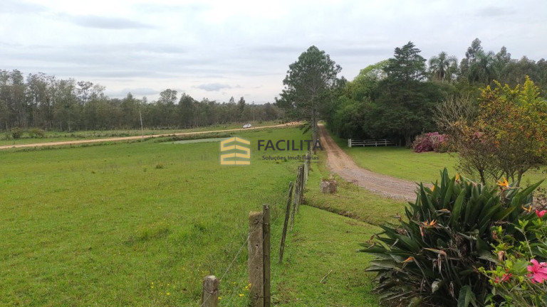 Imagem Imóvel com 3 Quartos à Venda, 660.000 m² em Hidráulica - Capão Do Leão Imagem Imóvel com 3 Quartos à Venda, 660.000 m² em Hidráulica - Capão Do Leão