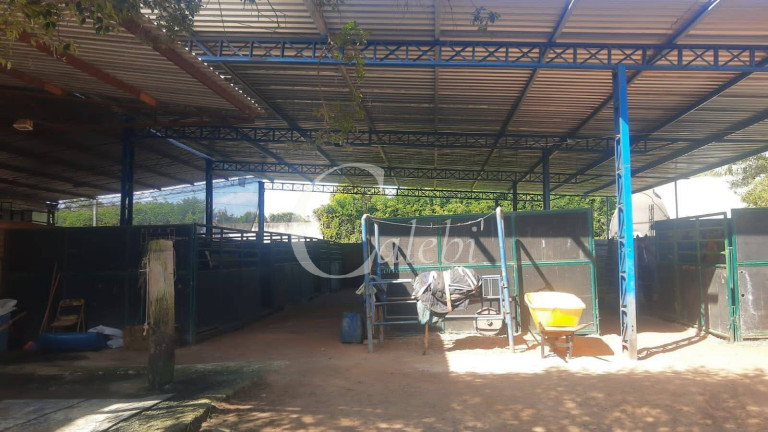 Imagem Chácara com 5 Quartos à Venda, 3 m² em Varginha - Santo Antônio De Posse Imagem Chácara com 5 Quartos à Venda, 3 m² em Varginha - Santo Antônio De Posse