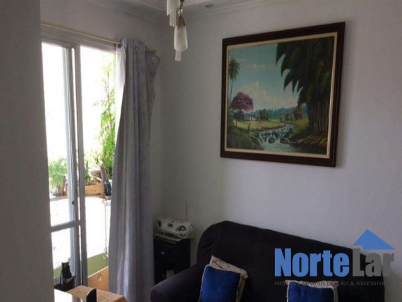 Imagem Apartamento com 2 Quartos à Venda, 48 m² em Vila Amélia - São Paulo Imagem Apartamento com 2 Quartos à Venda, 48 m² em Vila Amélia - São Paulo