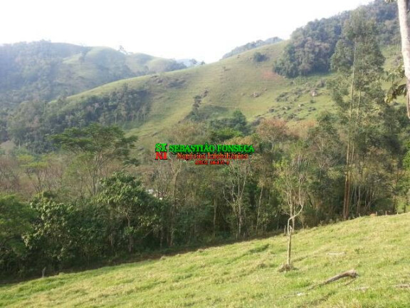 Imagem Chácara à Venda, 20.000 m² em São Francisco Xavier - São José Dos Campos Imagem Chácara à Venda, 20.000 m² em São Francisco Xavier - São José Dos Campos