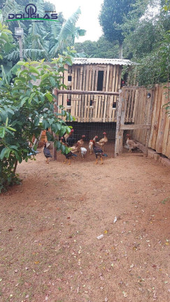 Imagem Casa com 3 Quartos à Venda, 600 m² em Viamão Imagem Casa com 3 Quartos à Venda, 600 m² em Viamão