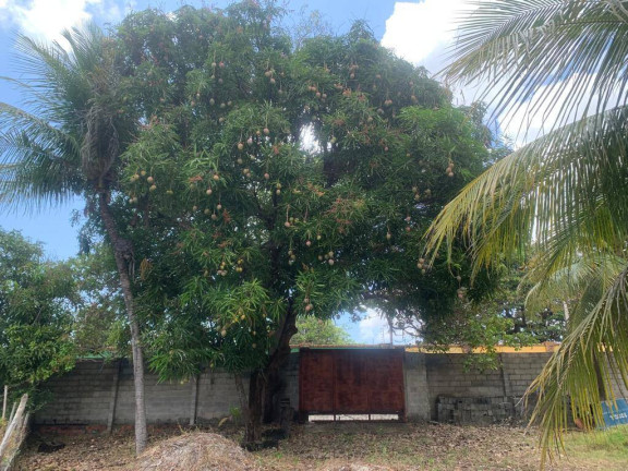 Imagem Casa com 3 Quartos à Venda, 270 m² em Olho Dagua - Eusébio