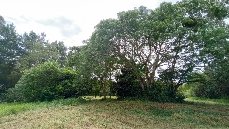 Imagem Imóvel com 2 Quartos à Venda, 28.600 m² em Passo Da Areia - Viamão Imagem Imóvel com 2 Quartos à Venda, 28.600 m² em Passo Da Areia - Viamão