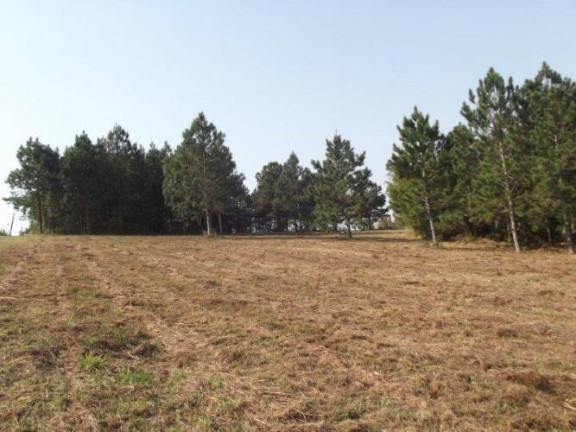 Imagem Terreno à Venda, 80.000 m² em águas Claras - Viamão