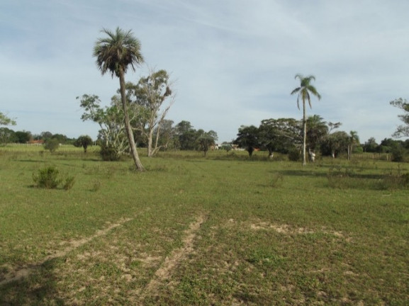 Imagem Chácara à Venda, 8 m² em águas Claras - Viamão Imagem Chácara à Venda, 8 m² em águas Claras - Viamão