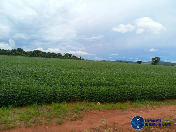 Imagem Fazenda à Venda, 60 m² em Zona Rural - Itaberaí Imagem Fazenda à Venda, 60 m² em Zona Rural - Itaberaí