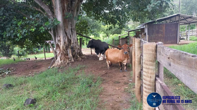 Imagem Chácara à Venda, 1 m² em Zona Rural - Itaberaí Imagem Chácara à Venda, 1 m² em Zona Rural - Itaberaí