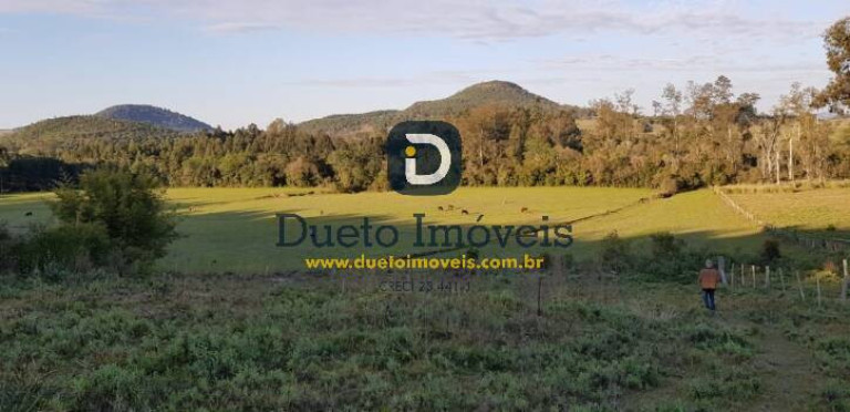 Imagem Terreno à Venda, 140.000 m² em Santa Rosa - Jaguari