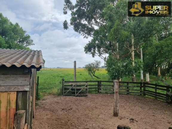 Imagem Imóvel com 2 Quartos à Venda, 14.700.000 m² em Quinta - Rio Grande