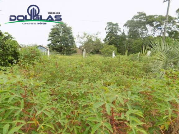 Imagem Casa com 2 Quartos à Venda, 1.560 m² em Viamão Imagem Casa com 2 Quartos à Venda, 1.560 m² em Viamão