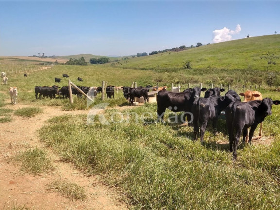 Imagem Fazenda à Venda, 150 m² em Marambaia - Caçapava Imagem Fazenda à Venda, 150 m² em Marambaia - Caçapava
