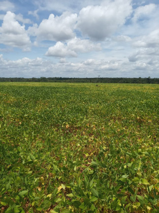 Imagem Imóvel à Venda,  em Colinas Do Tocantins/to - Colinas Do Tocantins