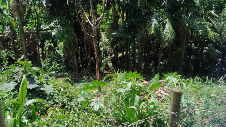 Imagem Terreno à Venda, 1.748 m² em Sete Praias - São Paulo Imagem Terreno à Venda, 1.748 m² em Sete Praias - São Paulo