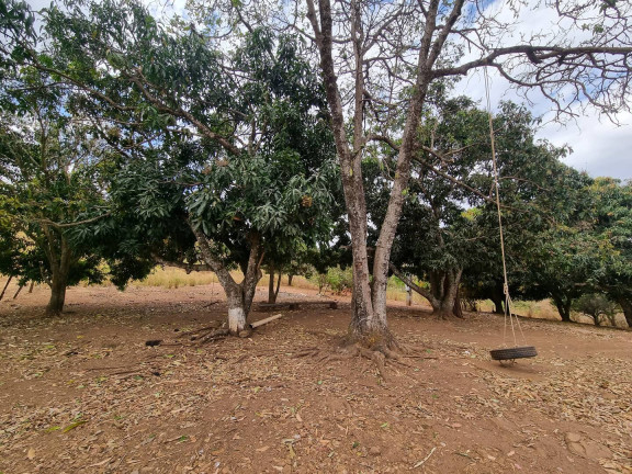 Imagem Fazenda à Venda, 9 m² em Interlândia - Anápolis Imagem Fazenda à Venda, 9 m² em Interlândia - Anápolis
