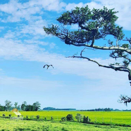 Imagem Fazenda à Venda, 3.160.000 m² em Centro - Viamão Imagem Fazenda à Venda, 3.160.000 m² em Centro - Viamão