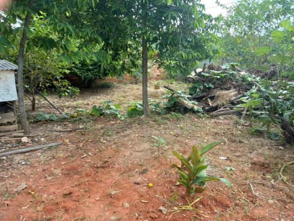 Imagem Chácara com 2 Quartos à Venda, em George Oeterer - Iperó Imagem Chácara com 2 Quartos à Venda, em George Oeterer - Iperó