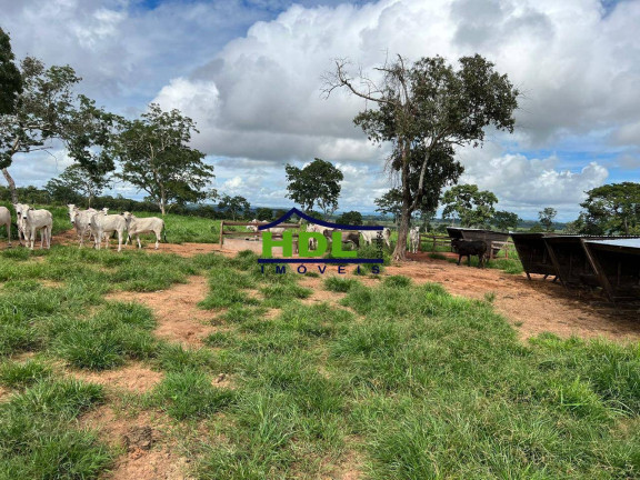 Imagem Fazenda à Venda,  em Zona Rural - Torixoréu