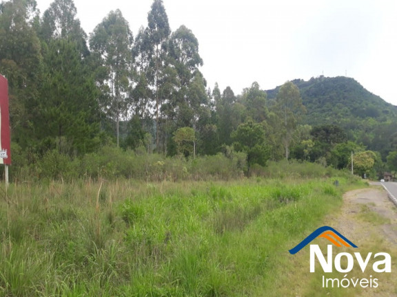 Imagem Imóvel à Venda, 10.211 m² em Linha Araripe - Nova Petrópolis Imagem Imóvel à Venda, 10.211 m² em Linha Araripe - Nova Petrópolis