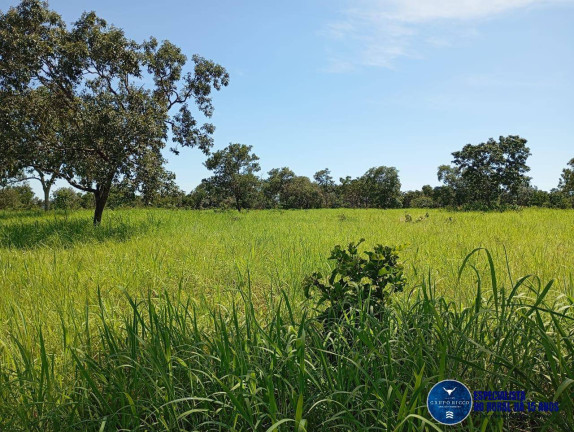 Imagem Fazenda à Venda, 60 m² em Zona Rural - Jussara Imagem Fazenda à Venda, 60 m² em Zona Rural - Jussara