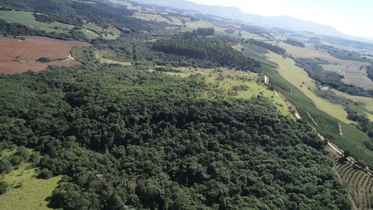 Imagem Fazenda à Venda, 31 m² em Poços De Caldas Imagem Fazenda à Venda, 31 m² em Poços De Caldas