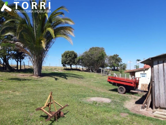 Imagem Imóvel com 3 Quartos à Venda, em Centro - Marília Imagem Imóvel com 3 Quartos à Venda, em Centro - Marília