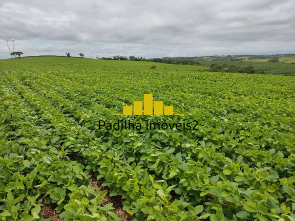Imagem Chácara à Venda, 20 m² em Pilar Do Sul Imagem Chácara à Venda, 20 m² em Pilar Do Sul