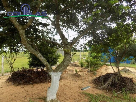 Imagem Casa com 2 Quartos à Venda, 1.560 m² em Viamão Imagem Casa com 2 Quartos à Venda, 1.560 m² em Viamão