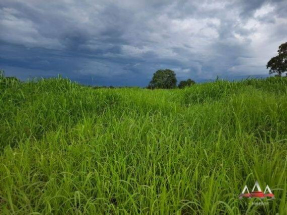 Imagem Fazenda à Venda, 324 m² em Zona Rural - Nova Brasilândia Imagem Fazenda à Venda, 324 m² em Zona Rural - Nova Brasilândia