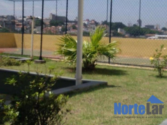 Imagem Apartamento com 2 Quartos à Venda, 49 m² em Vila Cruz Das Almas - São Paulo Imagem Apartamento com 2 Quartos à Venda, 49 m² em Vila Cruz Das Almas - São Paulo