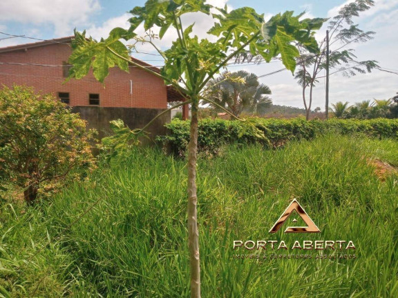 Imagem Terreno à Venda, 4.000 m² em Bom Jesus Do Galho Imagem Terreno à Venda, 4.000 m² em Bom Jesus Do Galho