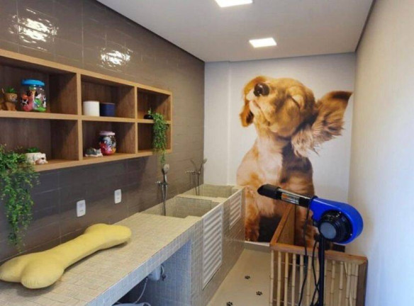Imagem Apartamento com 2 Quartos para Alugar, em Jardim Colonial - Bauru Imagem Apartamento com 2 Quartos para Alugar, em Jardim Colonial - Bauru