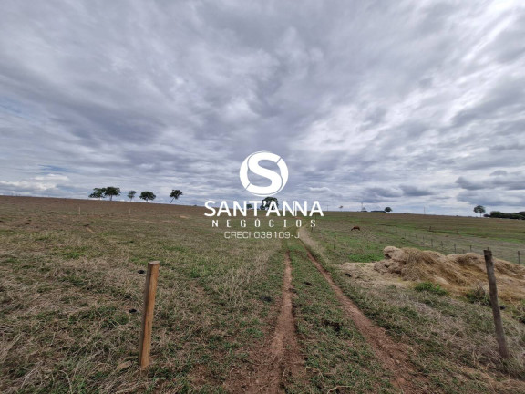 Imagem Chácara com 2 Quartos à Venda, 96 m² em Rural - Macedônia Imagem Chácara com 2 Quartos à Venda, 96 m² em Rural - Macedônia