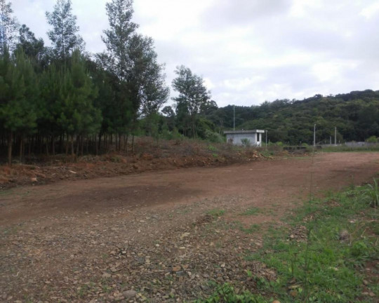 Imagem Imóvel à Venda, 5 m² em Logradouro - Nova Petrópolis Imagem Imóvel à Venda, 5 m² em Logradouro - Nova Petrópolis
