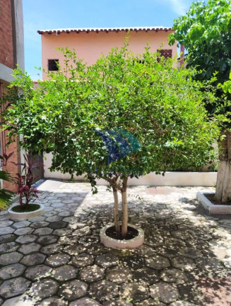 Imagem Apartamento com 2 Quartos à Venda, 50 m² em Braga - Cabo Frio Imagem Apartamento com 2 Quartos à Venda, 50 m² em Braga - Cabo Frio