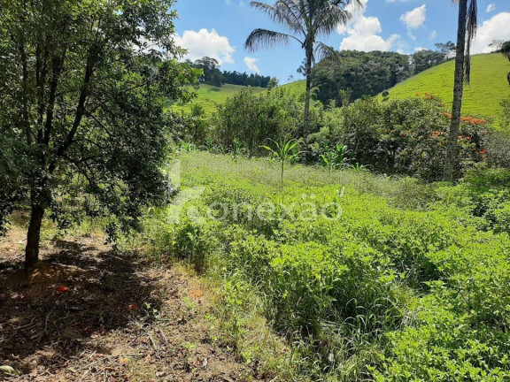 Imagem Chácara com 2 Quartos à Venda, 500 m² em Centro - Paraibuna Imagem Chácara com 2 Quartos à Venda, 500 m² em Centro - Paraibuna
