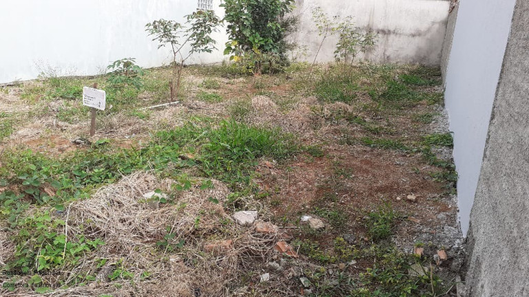 Imagem Terreno à Venda, 180 m² em Jardim São Bento - Poços De Caldas Imagem Terreno à Venda, 180 m² em Jardim São Bento - Poços De Caldas