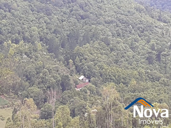 Imagem Imóvel à Venda, em Linha Olinda - Nova Petrópolis Imagem Imóvel à Venda, em Linha Olinda - Nova Petrópolis