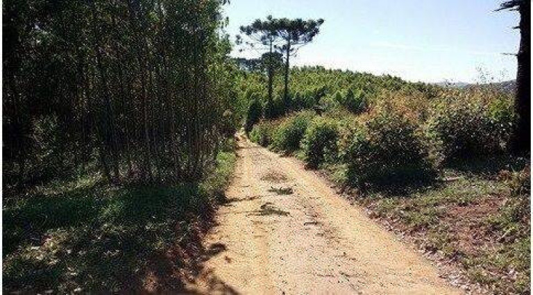 Imagem Terreno à Venda, 489 m² em Centro - Pedra Bela Imagem Terreno à Venda, 489 m² em Centro - Pedra Bela