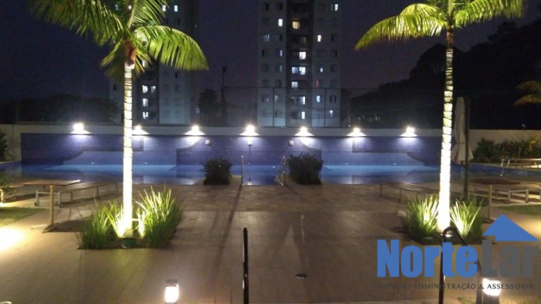Imagem Apartamento com 3 Quartos à Venda, 70 m² em Jardim Leonor Mendes De Barros - São Paulo Imagem Apartamento com 3 Quartos à Venda, 70 m² em Jardim Leonor Mendes De Barros - São Paulo