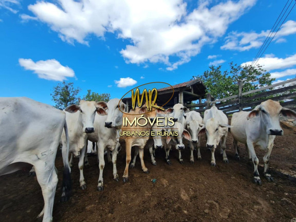 Imagem Imóvel à Venda, 52 m² em Rural - Araruama Imagem Imóvel à Venda, 52 m² em Rural - Araruama