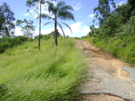 Imagem Imóvel Comercial à Venda, 7.400 m² em Terra Preta - Mairiporã Imagem Imóvel Comercial à Venda, 7.400 m² em Terra Preta - Mairiporã