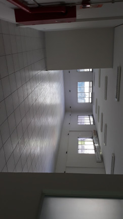 Imagem Imóvel com 1 Quarto para Alugar, 1.159 m² em Indianopolis - Sp Imagem Imóvel com 1 Quarto para Alugar, 1.159 m² em Indianopolis - Sp