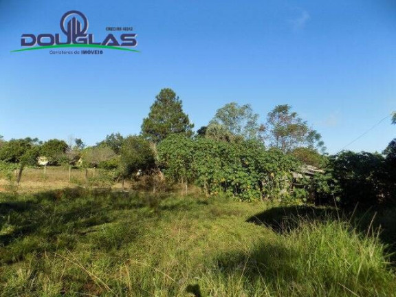 Imagem Casa com 2 Quartos à Venda, 1.800 m² em águas Claras - Viamão Imagem Casa com 2 Quartos à Venda, 1.800 m² em águas Claras - Viamão