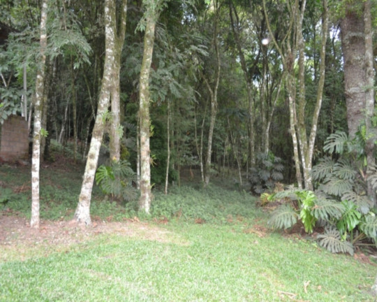 Imagem Imóvel com 3 Quartos à Venda, em Vale Verde - Nova Petrópolis Imagem Imóvel com 3 Quartos à Venda, em Vale Verde - Nova Petrópolis