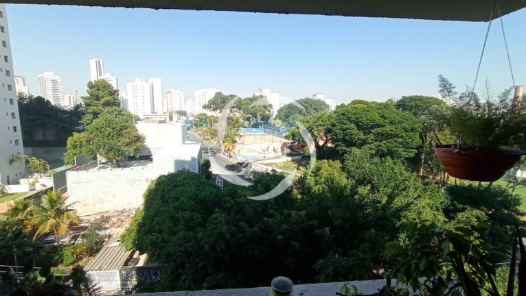 Imagem Apartamento com 3 Quartos à Venda, 79 m² em Vila Firmiano Pinto - São Paulo