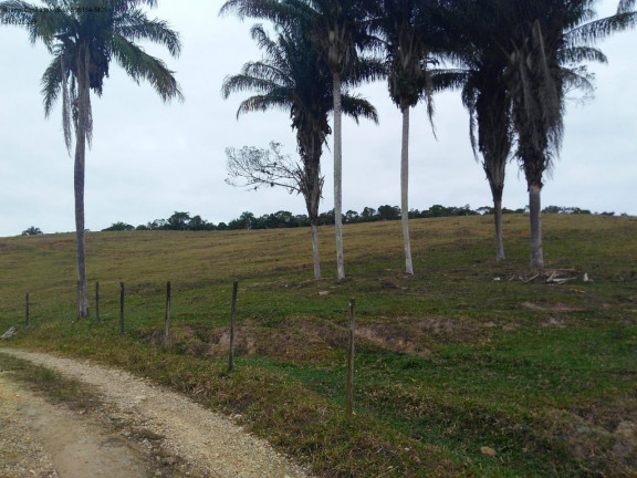 Imagem Imóvel com 3 Quartos à Venda, 1.936.000 m² em Pariquera-acu - Pariquera-acu Imagem Imóvel com 3 Quartos à Venda, 1.936.000 m² em Pariquera-acu - Pariquera-acu