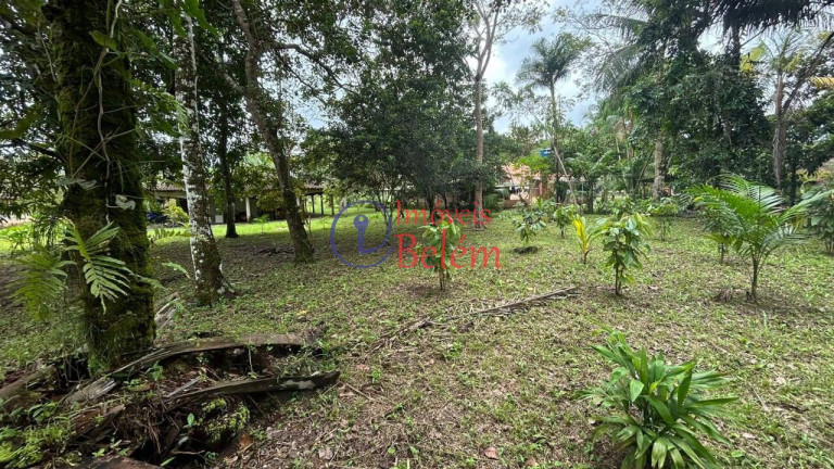 Imagem Casa com 4 Quartos à Venda, 3.970 m² em Centro - Vigia Imagem Casa com 4 Quartos à Venda, 3.970 m² em Centro - Vigia