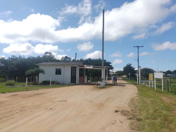 Imagem Casa com 3 Quartos à Venda, 20 m² em Varzinha (itapuã) - Viamão