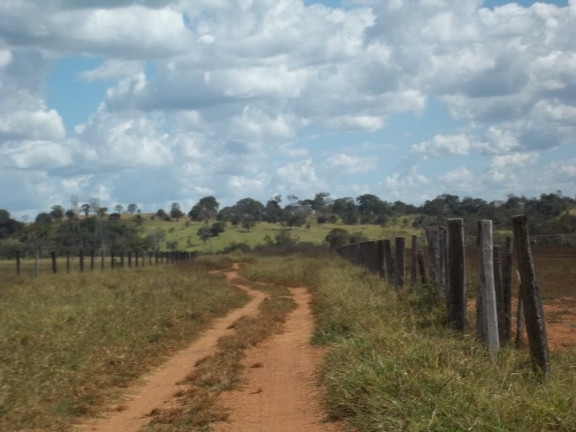 Imagem Fazenda à Venda, 222 m² em Zona Rural - Professor Jamil Imagem Fazenda à Venda, 222 m² em Zona Rural - Professor Jamil