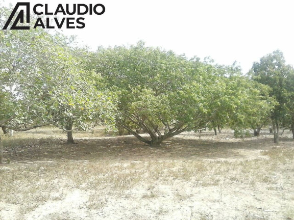 Imagem Terreno à Venda, 17.300 m² em Jaíba - Feira De Santana Imagem Terreno à Venda, 17.300 m² em Jaíba - Feira De Santana